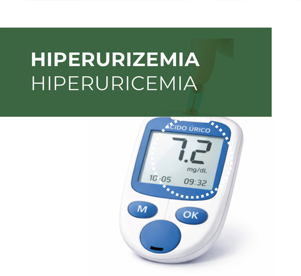 hiperuricemia